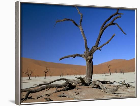 Dead Vlei, Sossusvlei Dune Field, Namib-Naukluft Park, Namib Desert, Namibia, Africa-Steve & Ann Toon-Framed Photographic Print