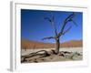 Dead Vlei, Sossusvlei Dune Field, Namib-Naukluft Park, Namib Desert, Namibia, Africa-Steve & Ann Toon-Framed Photographic Print