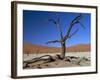 Dead Vlei, Sossusvlei Dune Field, Namib-Naukluft Park, Namib Desert, Namibia, Africa-Steve & Ann Toon-Framed Photographic Print