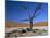 Dead Vlei, Sossusvlei Dune Field, Namib-Naukluft Park, Namib Desert, Namibia, Africa-Steve & Ann Toon-Mounted Photographic Print