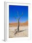 Dead Vlei, Sossusvlei, Namib Desert, Namib-Naukluft NP, Namibia.-Nico Tondini-Framed Photographic Print