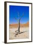 Dead Vlei, Sossusvlei, Namib Desert, Namib-Naukluft NP, Namibia.-Nico Tondini-Framed Photographic Print