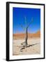 Dead Vlei, Sossusvlei, Namib Desert, Namib-Naukluft NP, Namibia.-Nico Tondini-Framed Photographic Print