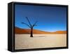 Dead Vlei - Sossusvlei, Namib Desert, Namibia-DR_Flash-Framed Stretched Canvas