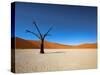 Dead Vlei - Sossusvlei, Namib Desert, Namibia-DR_Flash-Stretched Canvas