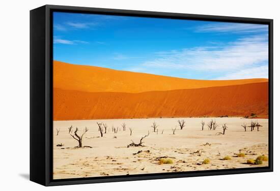 Dead Vlei - Sossusvlei, Namib Desert, Namibia-DmitryP-Framed Stretched Canvas