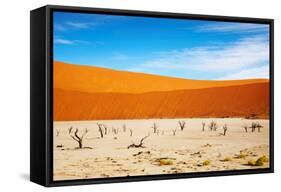 Dead Vlei - Sossusvlei, Namib Desert, Namibia-DmitryP-Framed Stretched Canvas