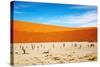 Dead Vlei - Sossusvlei, Namib Desert, Namibia-DmitryP-Stretched Canvas