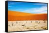 Dead Vlei - Sossusvlei, Namib Desert, Namibia-DmitryP-Framed Stretched Canvas