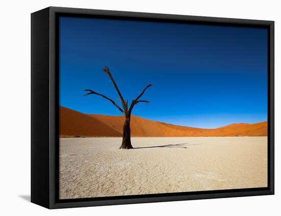 Dead Vlei - Sossusvlei, Namib Desert, Namibia-DR_Flash-Framed Stretched Canvas