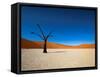 Dead Vlei - Sossusvlei, Namib Desert, Namibia-DR_Flash-Framed Stretched Canvas