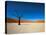 Dead Vlei - Sossusvlei, Namib Desert, Namibia-DR_Flash-Stretched Canvas