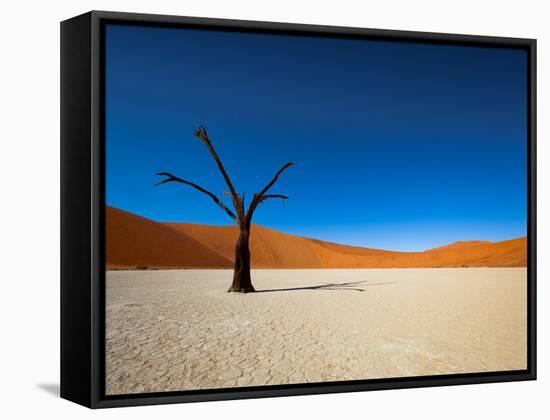 Dead Vlei - Sossusvlei, Namib Desert, Namibia-DR_Flash-Framed Stretched Canvas