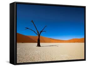 Dead Vlei - Sossusvlei, Namib Desert, Namibia-DR_Flash-Framed Stretched Canvas