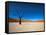 Dead Vlei - Sossusvlei, Namib Desert, Namibia-DR_Flash-Framed Stretched Canvas