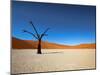 Dead Vlei - Sossusvlei, Namib Desert, Namibia-DR_Flash-Mounted Photographic Print