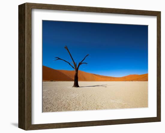 Dead Vlei - Sossusvlei, Namib Desert, Namibia-DR_Flash-Framed Photographic Print