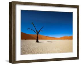 Dead Vlei - Sossusvlei, Namib Desert, Namibia-DR_Flash-Framed Photographic Print