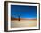 Dead Vlei - Sossusvlei, Namib Desert, Namibia-DR_Flash-Framed Photographic Print