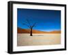 Dead Vlei - Sossusvlei, Namib Desert, Namibia-DR_Flash-Framed Photographic Print