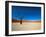 Dead Vlei - Sossusvlei, Namib Desert, Namibia-DR_Flash-Framed Photographic Print