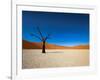 Dead Vlei - Sossusvlei, Namib Desert, Namibia-DR_Flash-Framed Photographic Print