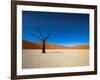 Dead Vlei - Sossusvlei, Namib Desert, Namibia-DR_Flash-Framed Photographic Print