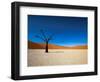 Dead Vlei - Sossusvlei, Namib Desert, Namibia-DR_Flash-Framed Photographic Print