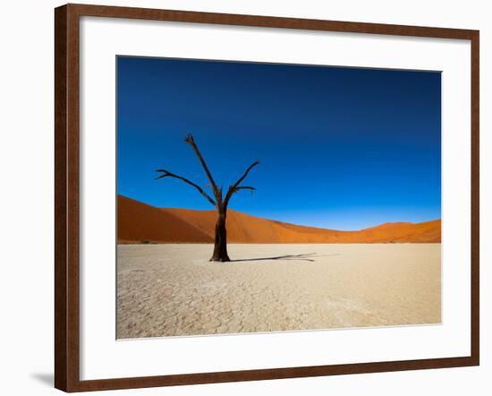 Dead Vlei - Sossusvlei, Namib Desert, Namibia-DR_Flash-Framed Photographic Print