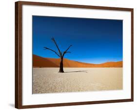 Dead Vlei - Sossusvlei, Namib Desert, Namibia-DR_Flash-Framed Photographic Print