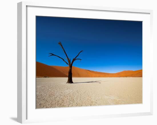 Dead Vlei - Sossusvlei, Namib Desert, Namibia-DR_Flash-Framed Photographic Print