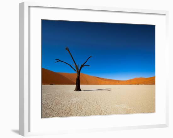 Dead Vlei - Sossusvlei, Namib Desert, Namibia-DR_Flash-Framed Photographic Print