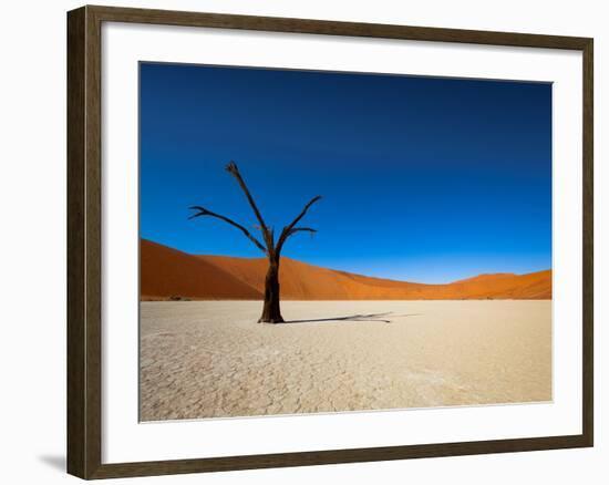 Dead Vlei - Sossusvlei, Namib Desert, Namibia-DR_Flash-Framed Photographic Print