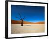 Dead Vlei - Sossusvlei, Namib Desert, Namibia-DR_Flash-Framed Photographic Print