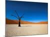 Dead Vlei - Sossusvlei, Namib Desert, Namibia-DR_Flash-Mounted Photographic Print