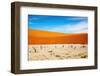 Dead Vlei - Sossusvlei, Namib Desert, Namibia-DmitryP-Framed Photographic Print
