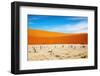 Dead Vlei - Sossusvlei, Namib Desert, Namibia-DmitryP-Framed Photographic Print