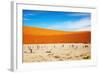 Dead Vlei - Sossusvlei, Namib Desert, Namibia-DmitryP-Framed Photographic Print
