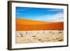 Dead Vlei - Sossusvlei, Namib Desert, Namibia-DmitryP-Framed Photographic Print