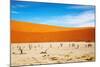 Dead Vlei - Sossusvlei, Namib Desert, Namibia-DmitryP-Mounted Photographic Print