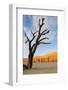 Dead Vlei, Sossusvlei, Namibia, Southern Africa-Eyesee10-Framed Photographic Print