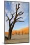 Dead Vlei, Sossusvlei, Namibia, Southern Africa-Eyesee10-Mounted Photographic Print