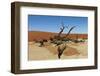 Dead Vlei Tree Namibia-mezzotint-Framed Photographic Print