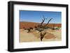 Dead Vlei Tree Namibia-mezzotint-Framed Photographic Print