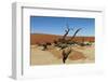 Dead Vlei Tree Namibia-mezzotint-Framed Photographic Print