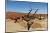 Dead Vlei Tree Namibia-mezzotint-Mounted Photographic Print