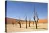 Dead Vlei Trees-null-Stretched Canvas