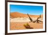 Dead Vlei Trees-milosk50-Framed Photographic Print