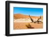 Dead Vlei Trees-milosk50-Framed Photographic Print