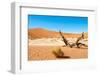 Dead Vlei Trees-milosk50-Framed Photographic Print